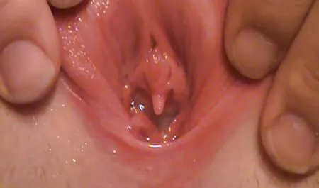 پری sex تلگرام طبیعی به خوردن چرا که او نمی تواند هر چیزی را ببینید.